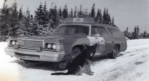 Arko on patrol NFLD