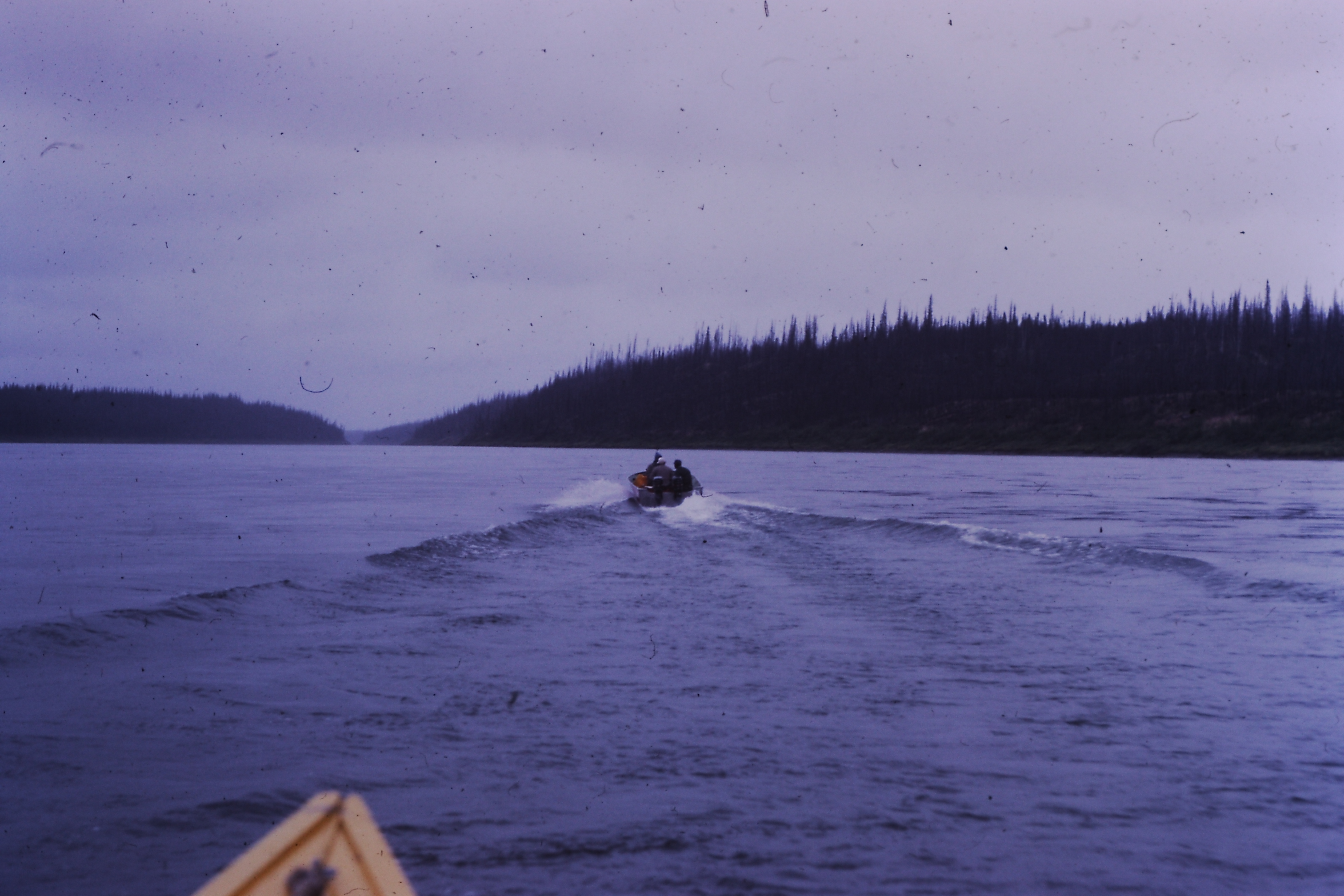 My beautiful picture