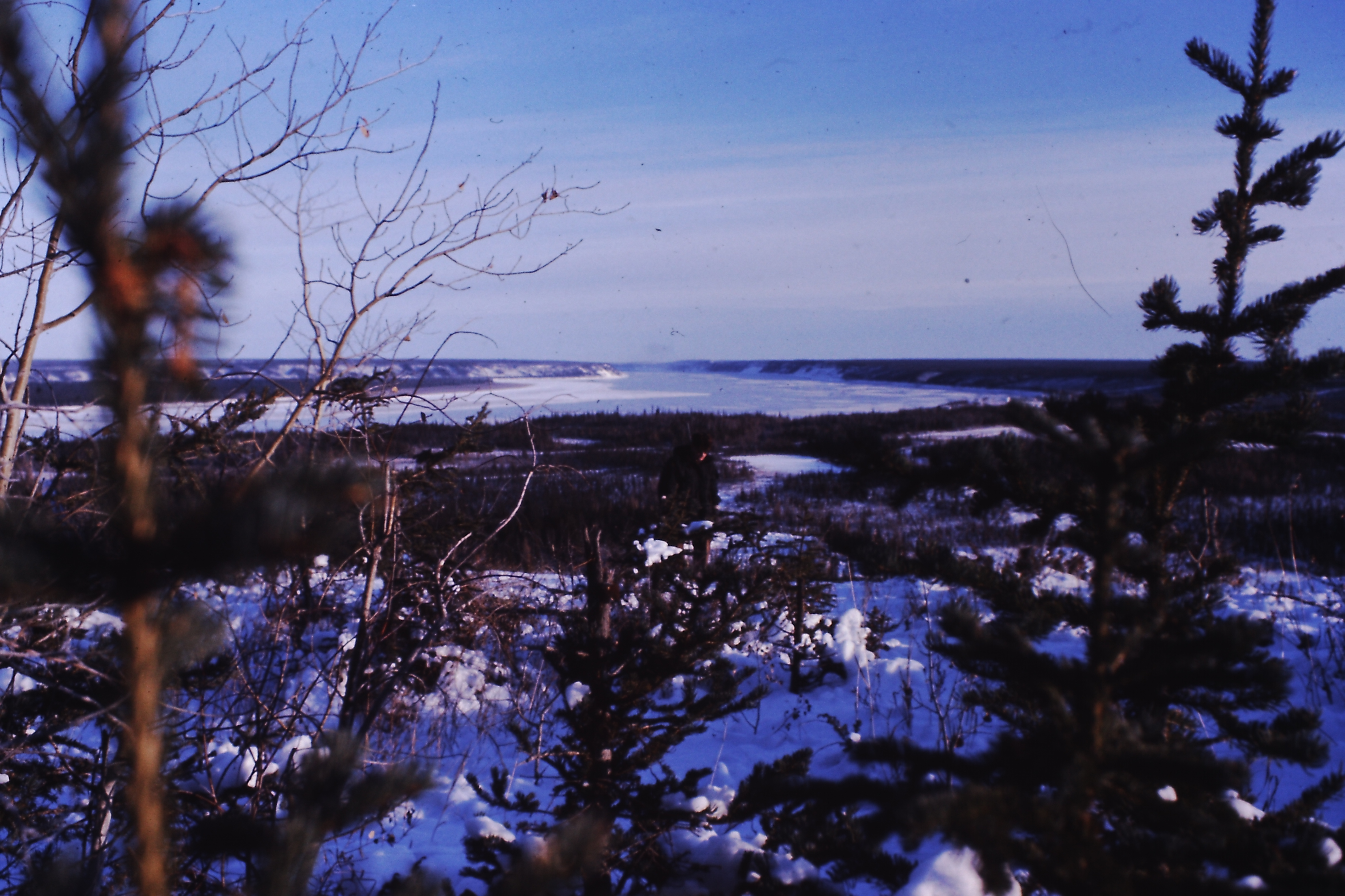 My beautiful picture