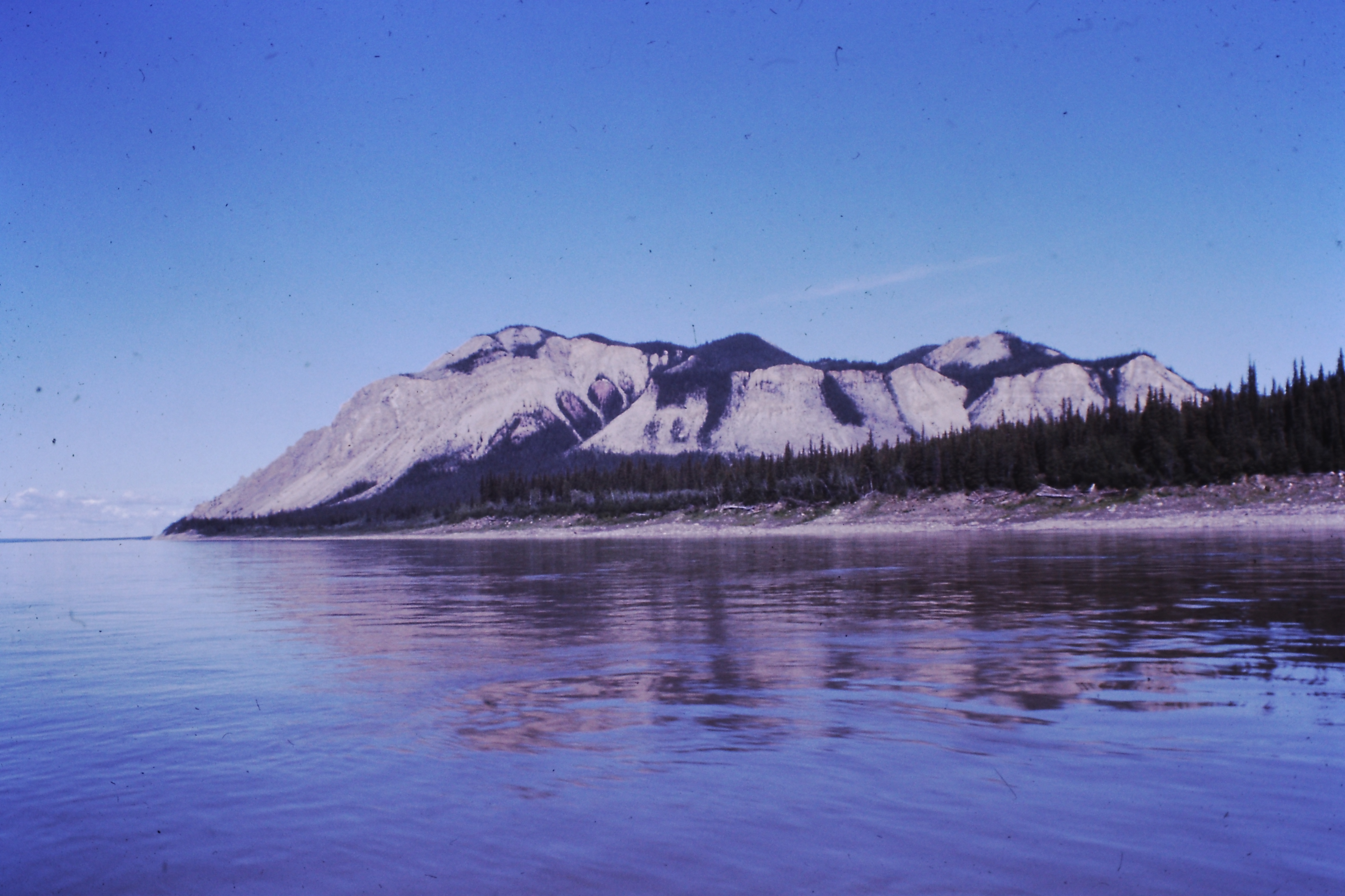 My beautiful picture