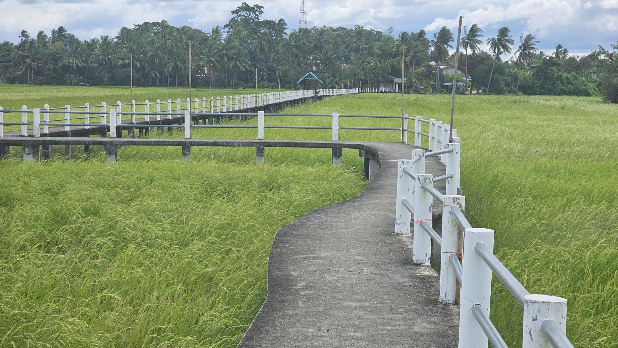 20251022_1017585107514407202081487