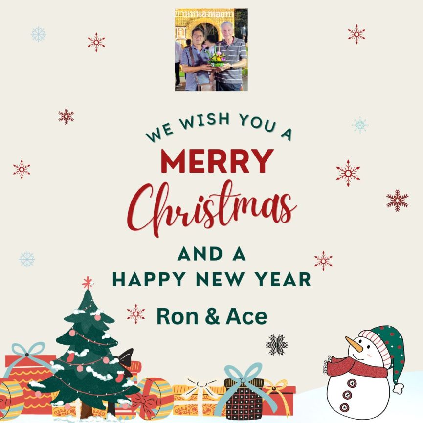 red merry christmas and new year instagram post_20251209_110300_00005599545349608886197.